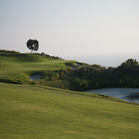 Commit To The Shot For Success!